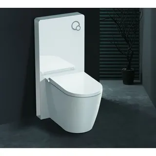 GD Weißglas Sanitärmodul für Stand-WC inkl. Betätigungsplatte
