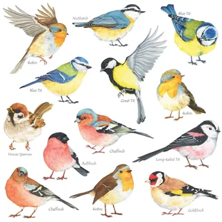 DECOWALL DS-8038 Kleine Vögel Wandtattoo Wandsticker Wandaufkleber Wanddeko für Wohnzimmer Schlafzimmer Kinderzimmer(Klein)