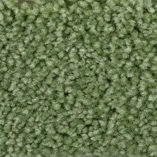 BODENMEISTER Teppichboden "Veloursteppich Pegasus" Teppiche Wohnzimmer, Schlafzimmer, Kinderzimmer, Breite 400500 cm Gr. B/L: 200 cm x 400 cm, 10 mm, 1 St., grün (dunkel grün) Teppichboden