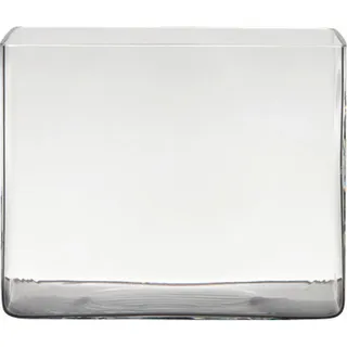 Vase, Transparent, Glas, rechteckig, 25x20x18 cm, Reach, Coldcut, zum Stellen, auch für frische Blumen geeignet, Dekoration, Vasen, Glasvasen