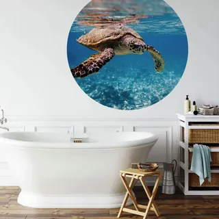K&L Wall Art Vliestapete »Runde Vliestapete«, Schildkröte Ozean Badezimmer, mehrfarbig, matt - bunt