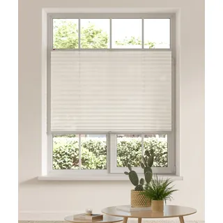 Plissee OTTO HOME "LAHOLM" Gr. 1, beige (creme), B:40cm H:130cm, Obermaterial: 100% Polyester, Plissees, Fixmaß, Bestseller mit über 3500 4,5-Sterne-Bewertungen, Klemmträger