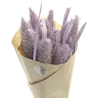 Kaemingk Trockenblumen Hirse Fliederfarben im Bündel 50 cm