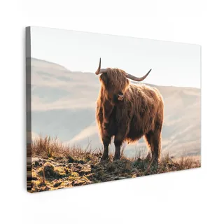 MuchoWow© Leinwandbild Dekoration Wohnzimmer Bilder Aufhängen Wall | 90x60 cm - Decoration Living Room Wohnungs Deko Moderne Schottisches Hochlandrind - Highland Cow - Tiere - Landschaft - Kuh