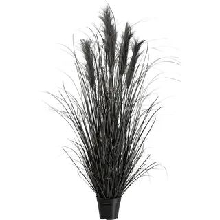 Kunstpflanze Pampasgras I in Schwarz