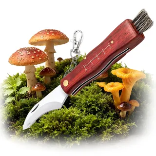 HONGECB Pilzmesser mit Bürste, 21cm Schwammerlmesser für Pilzsammler, Holzgriff Pilzmesser Klappmesser mit Lineal, gebogene Edelstahl-Klinge, Wildschweinborsten & Verlustschutz
