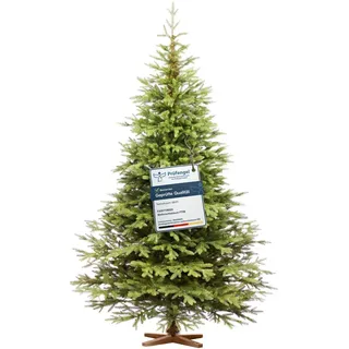 FAIRYTREES Weihnachtsbaum künstlich 250cm Nordmanntanne Exklusiv 100% PE | Tannenbaum Holzständer |  EU | Christbaum künstlich mit Naturgetreue ... - Grün