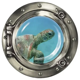Wandkings Wandsticker Bullauge „Unterwasserwelt - Baby Schildkröte unter Wasser" - 40 x 40 cm SILBER