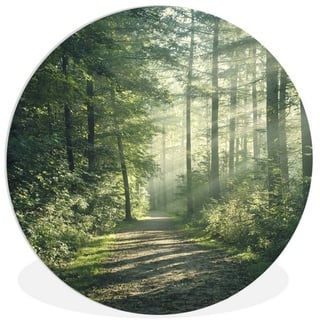 MuchoWow Gemälde Wald - Weg - Sonne - Bäume - Grün - Natur, Waldweg (1 St), Rundes wandbild für Wohnzimmer, Wandkreis, Wandschmuck, 90x90 cm bunt 90 cm x 90 cm