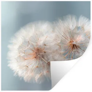 MuchoWow Wandsticker Pusteblumen - Flauschig - Weiß (1 St), Wandaufkleber, Selbstklebend, Wohnzimmer, 100x100 cm 100 cm x 100 cm x 0.1 cm