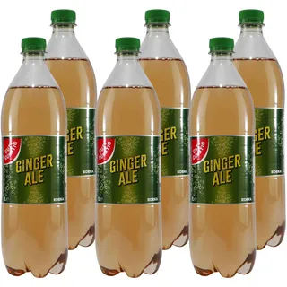 Gut & Günstig Ginger Ale (6 x 1,0L)