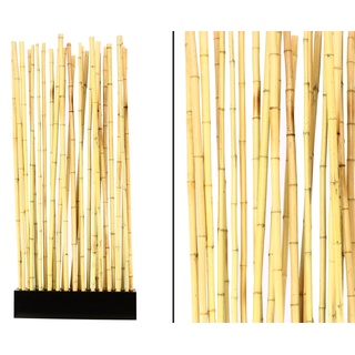 Design Raumteiler ca. 90 x 12 x 205cm mit 27 stehenden Bambusrohren im schwarzen Sockel - Raumtrenner aus Bambusstangen