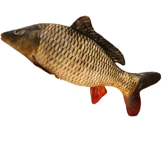Xiyocadt Riesiges Fischkissen, 3D-Simulation, Fisch, Stofftier,lustige Fisch Kissen Großes,Simulations Fisch-Plüschtier lustiges Fischkissen, weiches Kuscheltier Kissen für Zuhause (40cm,Karpfen)