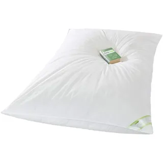 franknatur Ballonbett Daunendecke 155x220 Bettdecke 50% Gänsedaunen 2800g | warme Winterdecke, Füllung aus neuen 50% Daunen und 50% Federn Klasse 1, waschbar, trocknergeeignet, Oeko-TEX zertifiziert