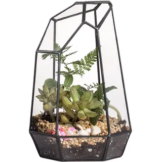 NCYP 10x12,5x19 cm Glas Geometrisches Terrarium Keine Tür, unregelmäßiges Prisma, für Mini-Sukkulenten, Kleine Kakteen, Pflanzen (ohne Pflanzen)