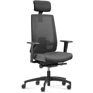 Dauphin Indeed Performance, ergonomischer Bürostuhl mit tiefenverstellbarer Lordosenstütze, höhenverstellbarer Kopfstütze, 2F-Armlehnen, ergonomischer Drehstuhl (Netzrückenlehne, mit Kopfstütze)