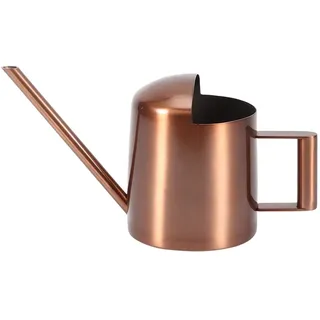 Fdit 300 ml Kleine Edelstahl Gießkanne Langen Auslauf Bestreuen Topfpflanzen Blume Werkzeug für Kinder Haus Schreibtisch Büro Pflanzen Bonsai MEHRWEG VERPAKUNG