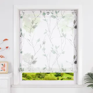 Heichkell Raffrollos ohne Bohren Transparente Raffgardine Gardine mit Blätter Druck Elegant Rollo mit Ösen Grün BxH 60x140 cm