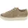 beige 37,5