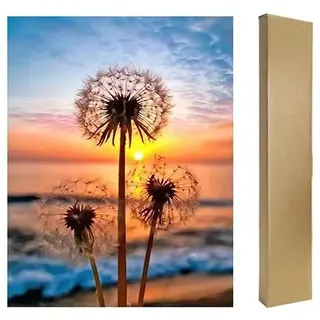 DCIDBEI Diamond Painting Pusteblume 40x50cm Pusteblume Fliegend mit Box | Diamant Painting Bilder Malen nach Zahlen Pusteblume Löwenzahn Diamond Painting Sonnenuntergang Landschaft Strand und Meer