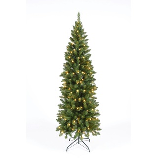 Tarrington House LED Weihnachtsbaum, beleuchtet, Metall / PVC, Ø 65 x 180 cm, 200 LED Glühbirnen warmweiß, mit schlanker, platzsparender Form