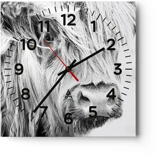 Modern Wanduhr Kuh Scotch Tier 40x40cm Quadrat Groß Wand Uhr Glas Analog Zimmeruhren Küche Büro Wohnzimmer Glasuhr Wall Clock Dekoration Design Wanddekoration Küchenuhr C4AC40x40-5129