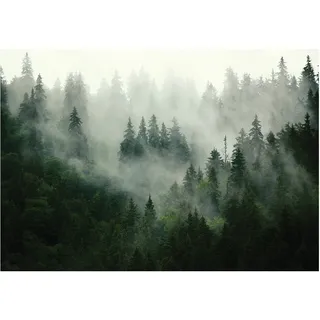 WallArena - Vlies Fototapete Wald Nebel Landschaft Grün Natur Bäume 312x219 cm - Fototapeten - Tapeten - für Wohnzimmer Schlafzimmer - Vliestapete Wandtapete Tapete 3D Effekt- inkl. Kleister