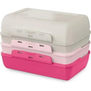 Emsa Variabolo 4-teiliges Lunchbox-Set, Grau und Pink, 2 Halbe Schalen mit 2 herausnehmbaren Trennwänden zur Bildung von 2 kompletten Behältern, 16 x 11,8 x 10,8 cm, Polypropylen-Material, Klickverschlusssystem, Stapelbares, platzsparendes Design, Herausnehmbare, verstellbare Trennwände, Flexible Farbkombinationen, Geeignet für Erwachsene und Kinder, Spülmaschinenfest, Für Schule, Kindergarten, Reisen, Lebensmittel- und Snack-Aufbewahrung