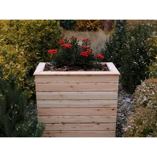 Hochbeet Holz Pflanzbeet Gemüsebeet Pflanzkasten Beet Blumenbeet PIA Lärche