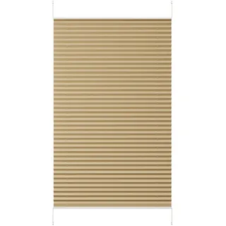 Sekey Plissee ohne Bohren, Fenster Plissee Klemmfix Jalousie 75 cm breit, Verspannt Lichtdurchlässig Sonnenschutz Fensterollo, 75 x 130 cm, Creme