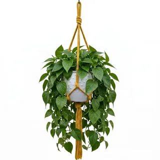 APREGGIO Makramee Blumenampel, Senfgelb | 5 mm Baumwollkordel, Boho Hängeampel für Zimmerpflanzen, 75 cm