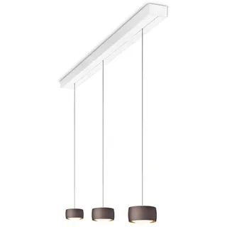 Oligo Grace LED Pendelleuchte mit unsichtbarer Höhenverstellung 3-flammig (weiß,... weiß | brazilian brown