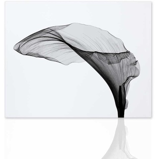 Declea Bild Noir et Blanc Moderner Druck in Schwarz und Weiß – Dekor für Wohnzimmer Druck auf Leinwand 100% Baumwolle
