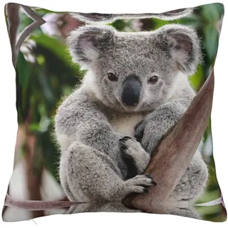 MELPHI Niedliches Kissen mit Koala-Druck, 12"x12", Quadratisch, Mittelfest, Indoor und Outdoor, Modern, Themed, Abnehmbare Abdeckung, Waschbar, Kissen
