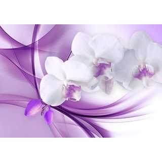 wandmotiv24 Fototapete Orchidee Blume Lila, S 200 x 140cm - 4 Teile, Wanddeko, Wandbild, Wandtapete, Abstrakt, Knospe, Floral M1118