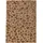 Leopard 200 300