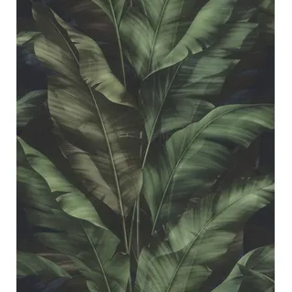 Rasch Textil Rio Blatt 6 m x 0,53 m Selbstklebende Vliestapete Grün/Schwarz 370034