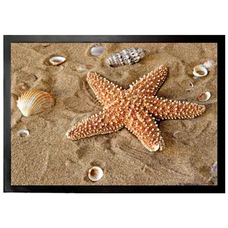 1art1 Seesterne Seestern Und Muscheln Im Sand Fußmatte Dekomatte Innenbereich | Design Türmatte 70x50 cm