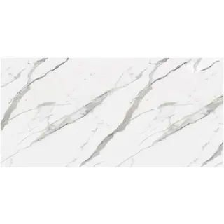 Wandpaneele Badezimmer Wasserfest 122x260 cm – PVC Wandpaneele Marmoroptik als Duschrückwand Kunststoff & Wandverkleidung Bad, auch für Küche & Innenbereich | IceBergGreyNew