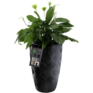 Kadax 48,5 x 48,5 x 48,5 cm Schwarz