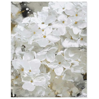 Declea Weißes Blumenbild, Druck mit gemalten Blumen – moderate Wohnzimmermöbel, Druck auf Leinwand aus 100% Baumwolle