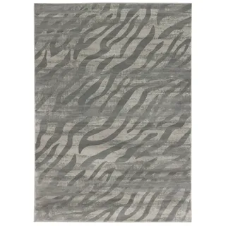 Zebra Antik Teppich - Hellgrau 200x300