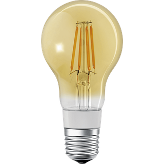LDV4058075208582 - Smart Light, Lampe, E27, 5,5W, Filament, SMART+, HomeKit