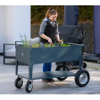 50NRTH Herstera Garden Kräuterfabrik Swivel anthrazit