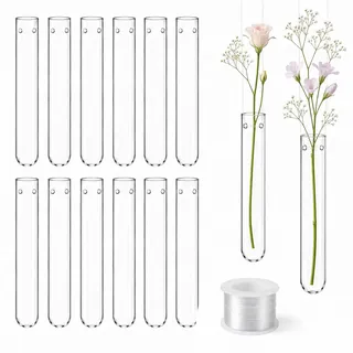 Forbabe 12 Stück 20 x 100mm Reagenzgläser für Blumen zum hängen, Reagenzglas Vase Kleine Blumenvase mit Loch und 7.6m Aufhängungslinie, Blumen Vasen Deko Hängevase für Hochzeiten Wohndekoration Party