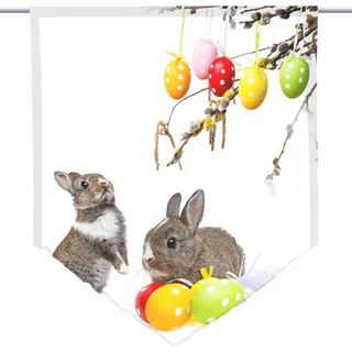 gardinen-for-life Scheibengardine Scheibenhänger spitz Osterhasen, Voile Transparent 60 cm x 100 cm