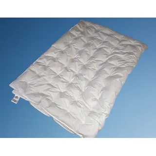 Betten Hofmann Daunenbettdecke Betten Hofmann Franken Sommer Daunendecke Punktstepp 155x220 cm Gänsed, Füllung: 100% Daunen, Bezug: 100% Baumwolle, für den Sommer, hergestellt in Deutschland, allergikerfreundlich weiß