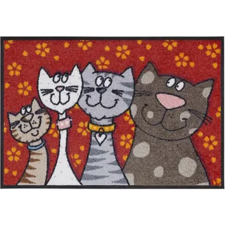 Salonloewe Fußmatte waschbar Katzenfamilie 50x75 cm HausTür-Eingangs-Matte lustig rot-bunt Tiere Fussabtreter