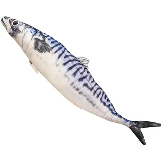 champracer Fisch Kuscheltier Weiches Fischkissen 3D Simulation tropisches Fischkissen 3D-Kissen Niedlich Stofftier Plüschtier Dekokissen (60cm,Makrele)