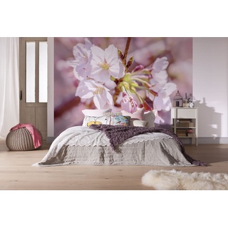 Komar Vlies Fototapete - Pink Blossom - Größe 248 x 184 cm, 4 Teile inklusive Kleister - Apfelblüte, Tapete, Wohnzimmer, Schlafzimmer